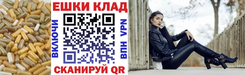 как найти Тамбов hydra как зайти ЭКСТАЗИ бентли