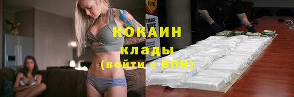 гидра Бронницы