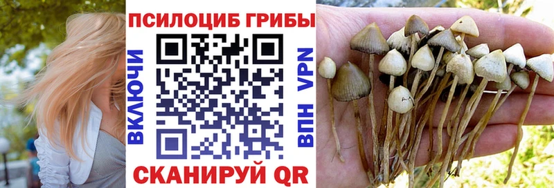 Галлюциногенные грибы GOLDEN TEACHER  наркотики  Тамбов 
